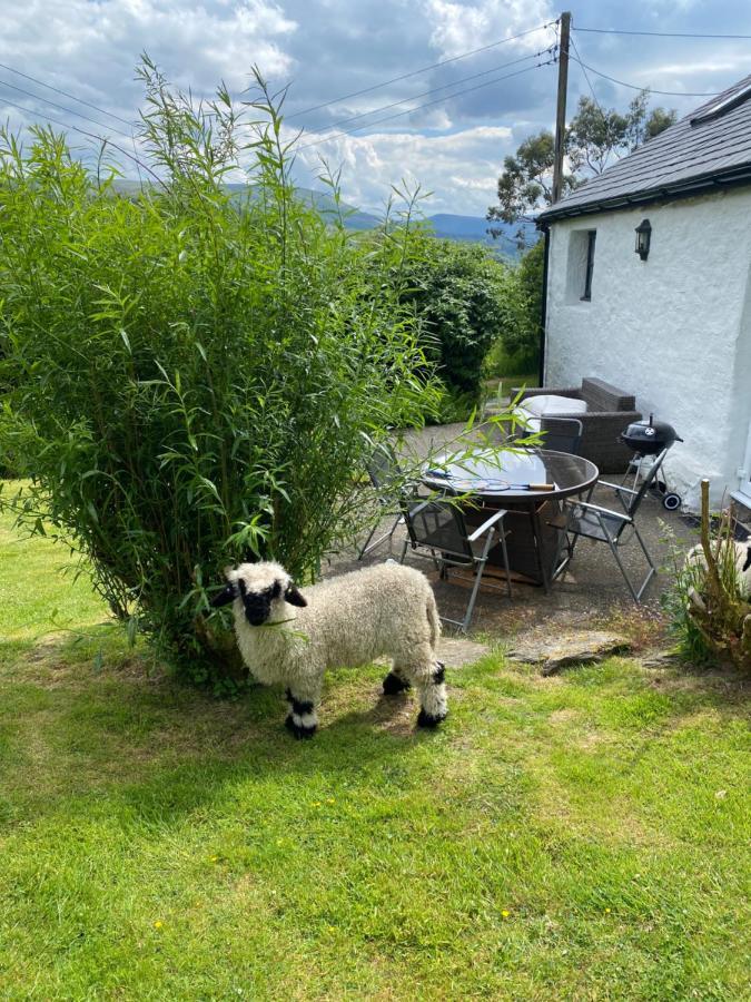 Fron Goch Cottage Dolwyddelan Eksteriør bilde